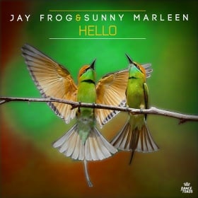 JAY FROG & SUNNY MARLEEN - HELLO